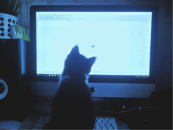 Роман Козловский